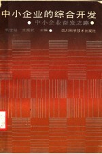 中小企业的综合开发 中小企业奋发之路