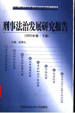 刑事法治发展研究报告 2003年卷 下