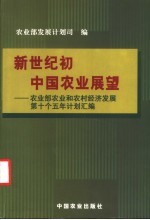 新世纪初中国农业展望 农业部农业和农村经济发展第十个五年计划汇编