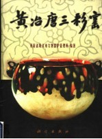 黄冶唐三彩窑