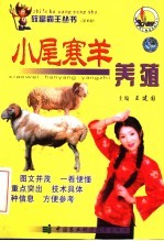 小尾寒羊养殖