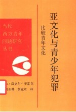 亚文化与青少年犯罪