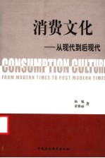消费文化 从现代到后现代