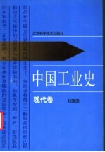 中国工业史 现代卷