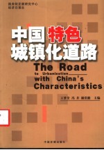 中国特色城镇化道路