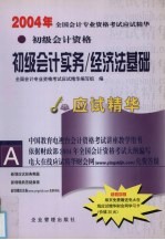 2004年全国会计专业资格考试应试精华 初级会计资格