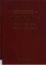 双翅目 舞虻总科