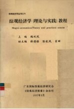 综观经济学（理论与实践）教程