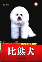 比熊犬:白色天使