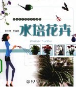水培花卉