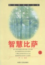 体会智慧的力量 智慧比萨 上