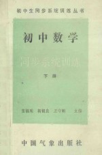 初中数学同步系统训练 下