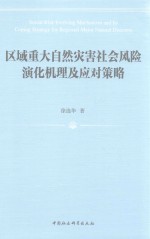 区域重大自然灾害社会风险演化机理及应对策略