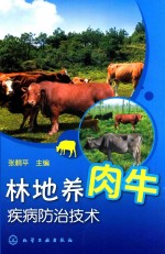 林地养肉牛疾病防治技术