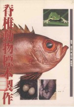 脊椎动物标本制作