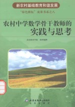 农村中学数学骨干教师的实践与思考