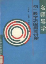 名师导学 初二数学巩固提高讲座