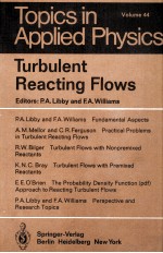 TURBULENT REACTING FLOWS