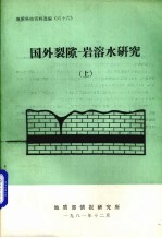 国外裂隙-岩溶水研究 上