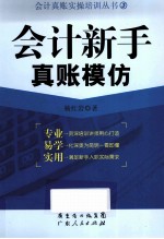 会计新手真账模仿