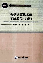 大学计算机基础实验教程 VB版