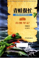 青蛙很忙
