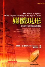 媒体现形.混沌时代频临意识邉缘