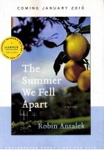 THE SUMMER WE FELL APART