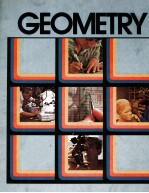 GEOMETRY ITS ELEMENTS AND STRUCTURE SECOND EDITION