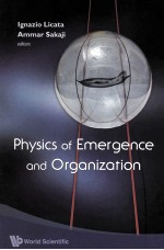 PHYSICS OF EMERGENCE AND ORGANIZATION