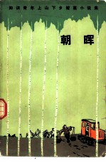 朝晖 知识青年上山下乡短篇小说集