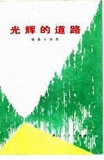 光辉的道路 短篇小说集