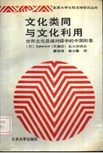 文化类同与文化利用 世界文化总体对话中的中国形象
