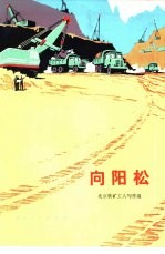 向阳松