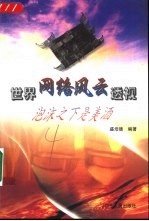 世界网络风云透视 泡沫之下是美酒