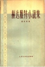赫达雅特小说集
