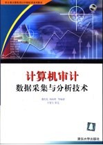 计算机审计数据采集与分析技术