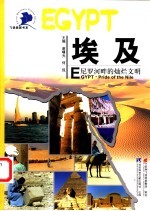 埃及 尼罗河畔的灿烂文明 pride of the nile主编谢曙光, 何侃
