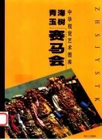 青海玉树赛马会