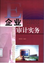 企业审计实务