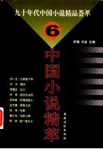 中国小说精萃 九十年代中国小说精品荟萃 6