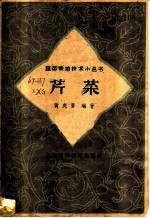芹菜