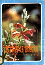 怎样养好你的花