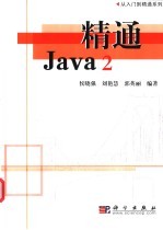 精通Java 2