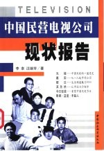 中国民营电视公司现状报告
