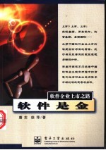 软件是金 软件企业上市之路