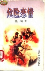 危险恋情