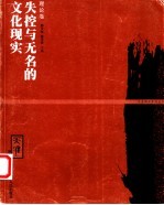失控与无名的文化现实 理论卷