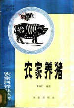 农家养猪