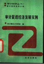 审计促进经济发展实例